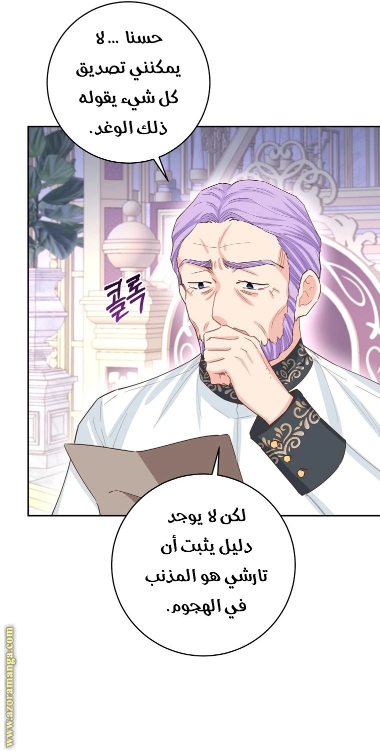 الصفحة 27