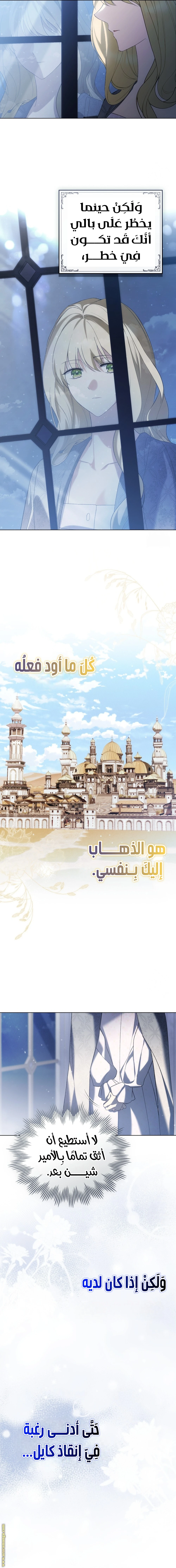 الصفحة 13
