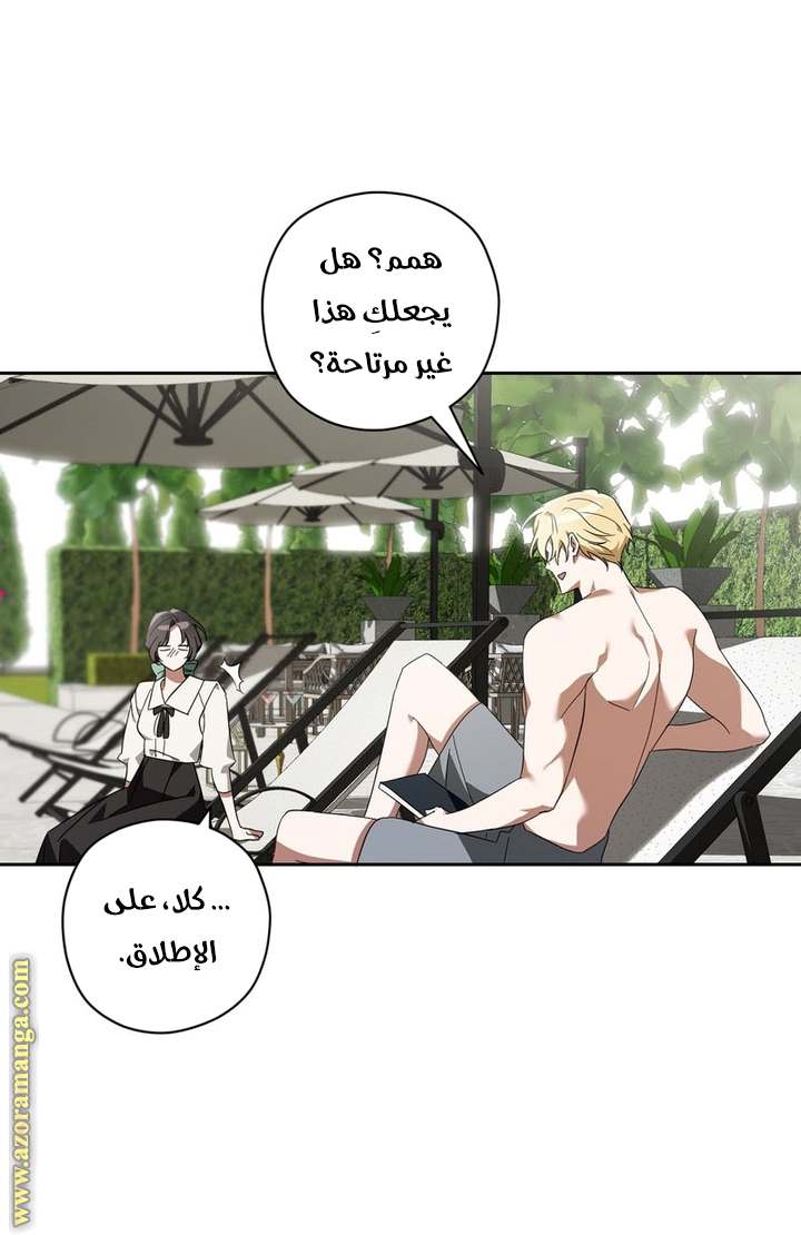 الصفحة 43