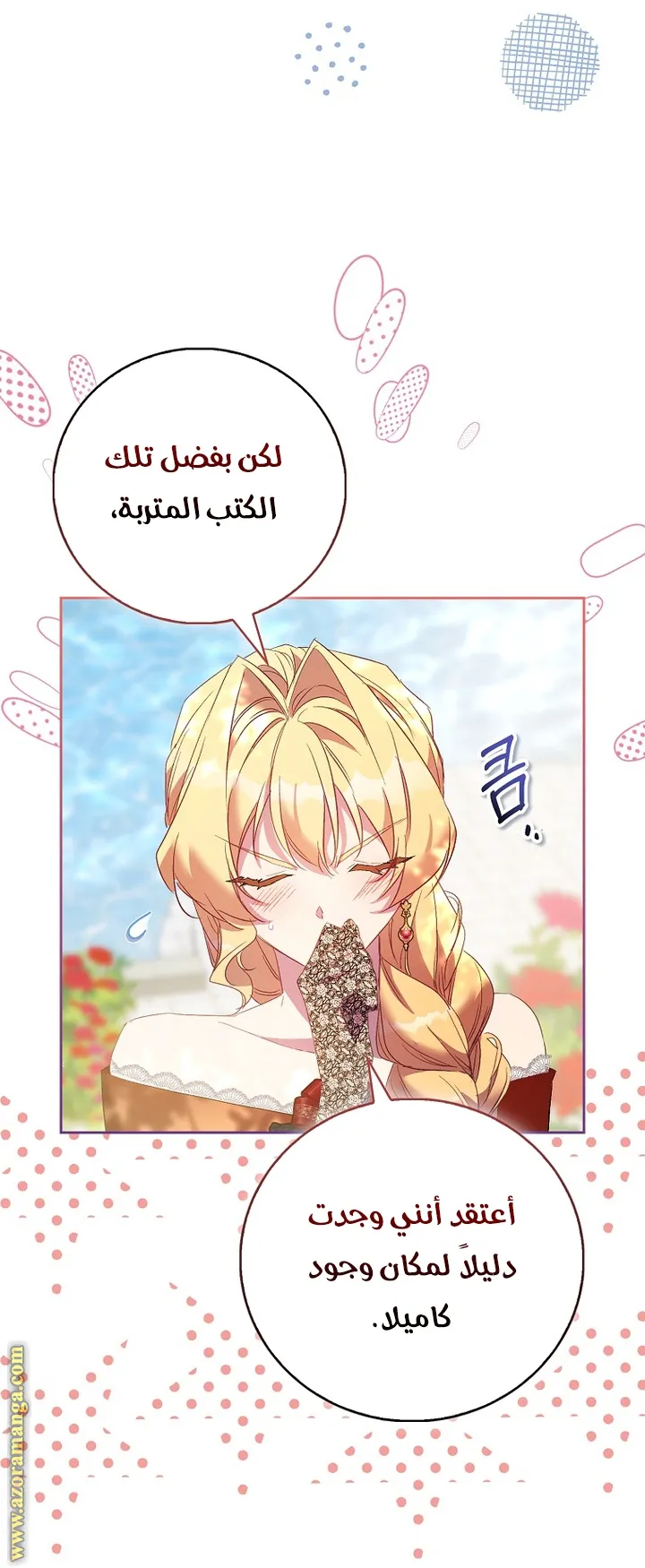 الصفحة 20