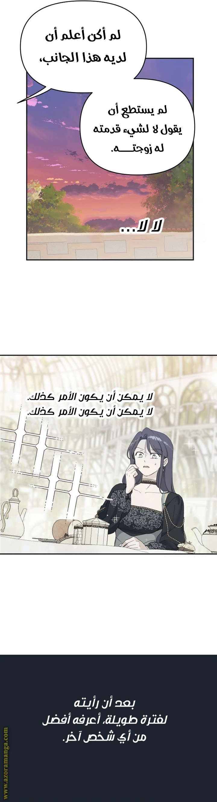 الصفحة 30