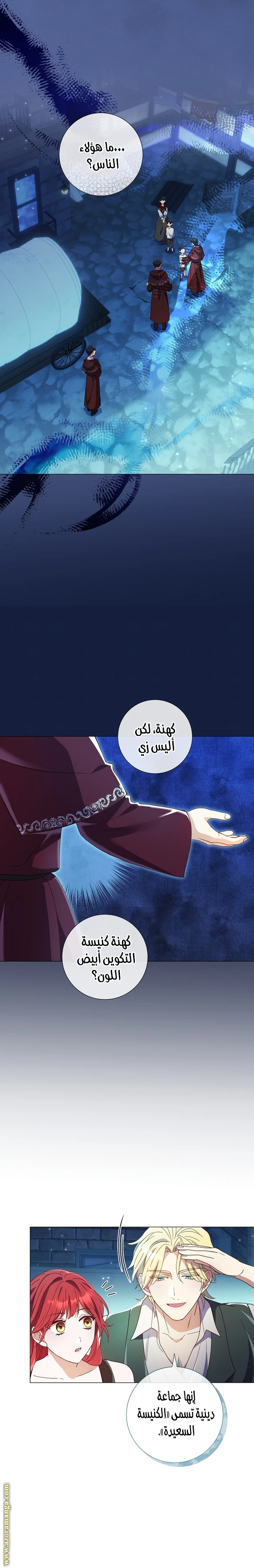 الصفحة 21