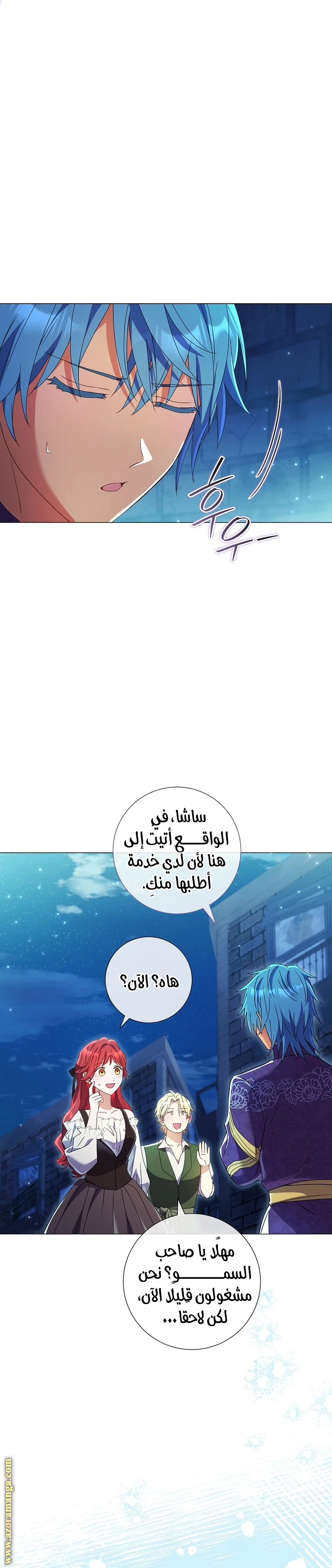 الصفحة 27