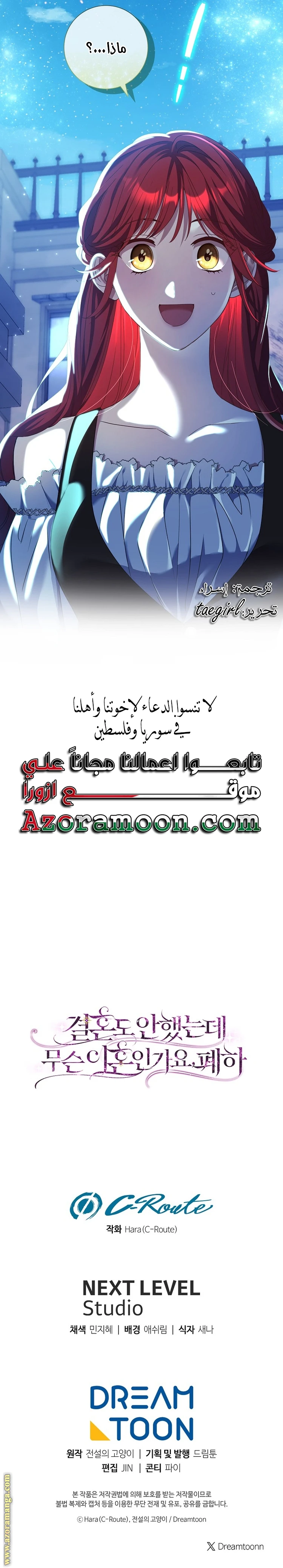 الصفحة 29