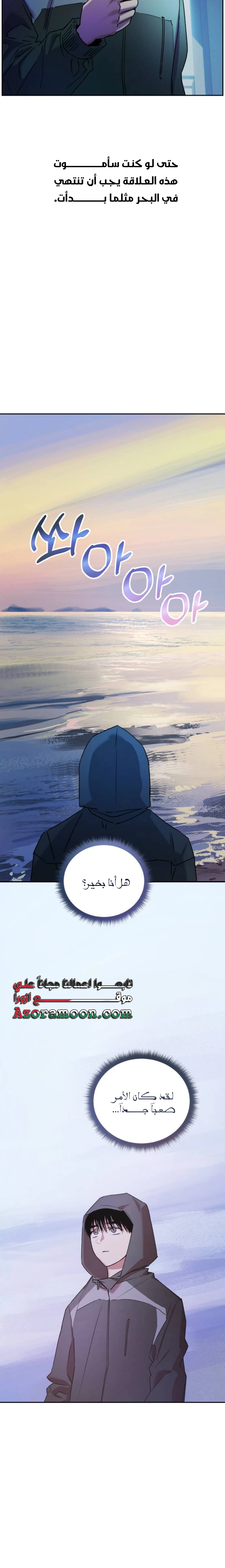 الصفحة 17