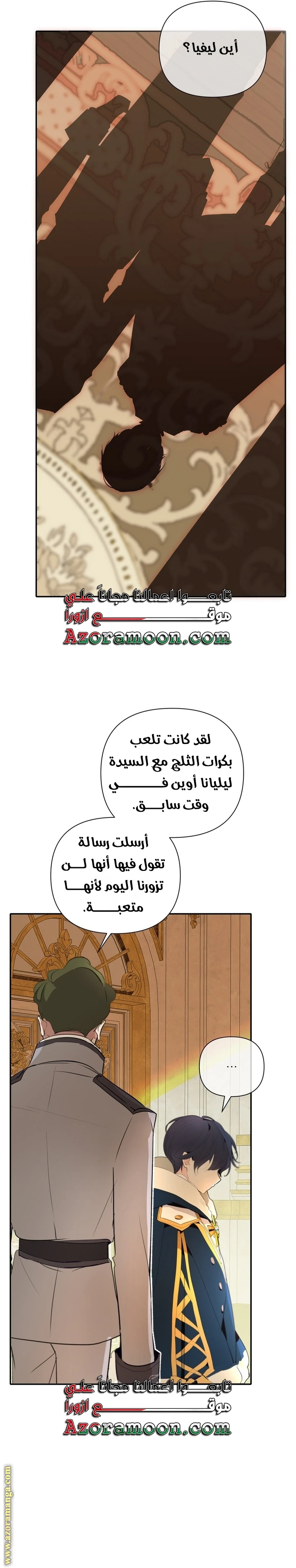 الصفحة 13