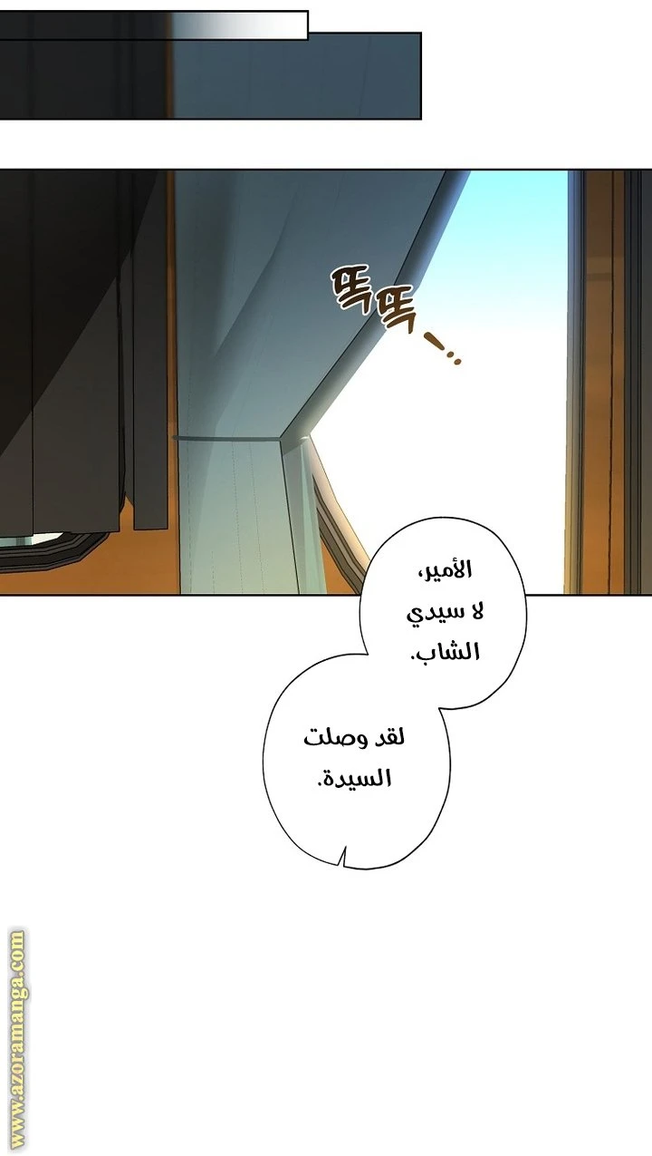 الصفحة 18
