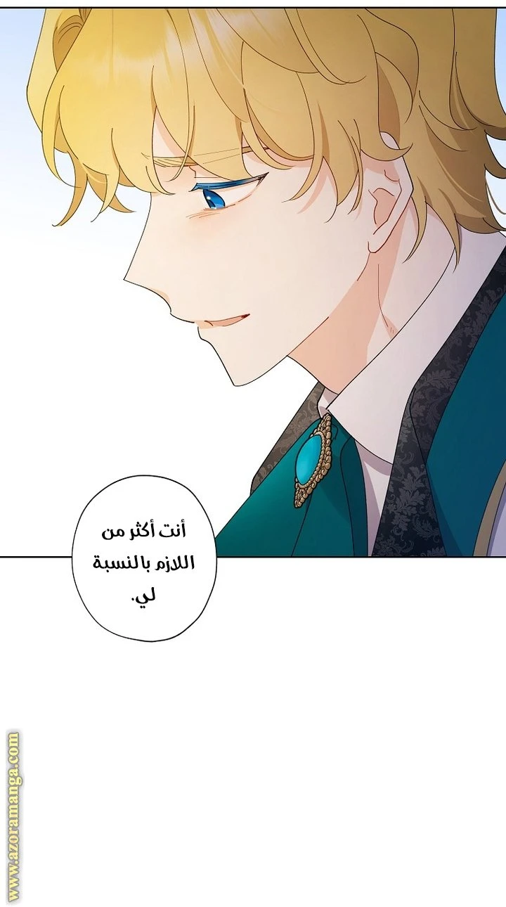 الصفحة 29