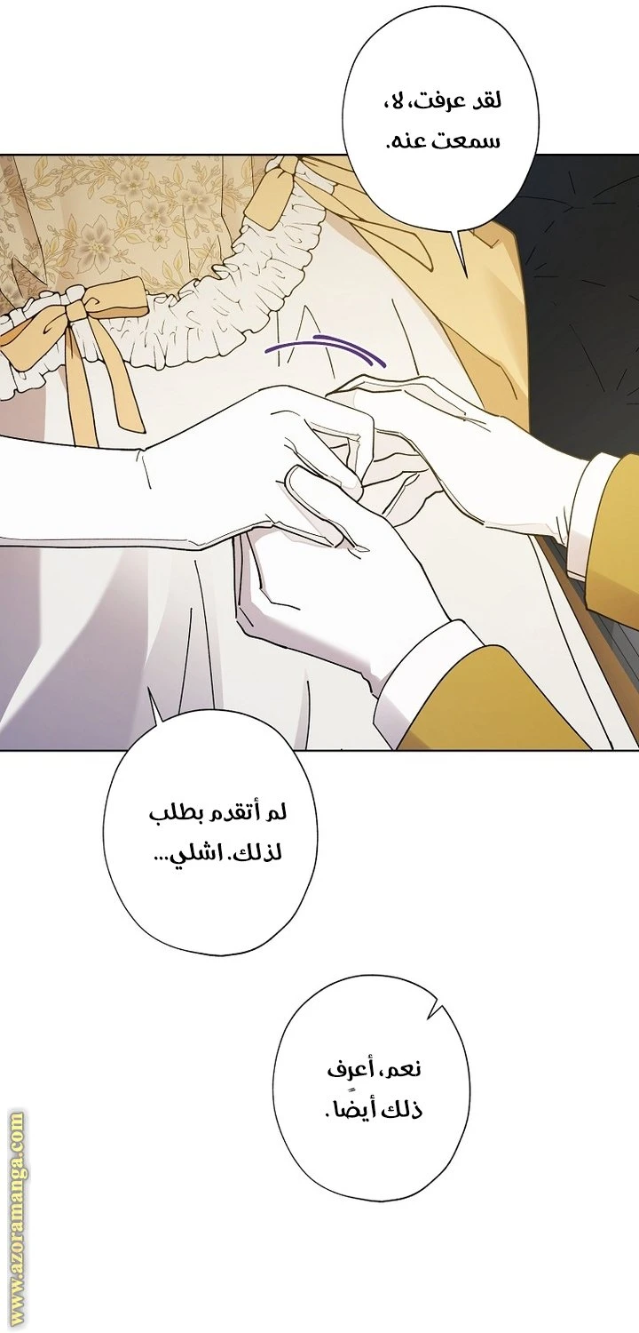 الصفحة 43