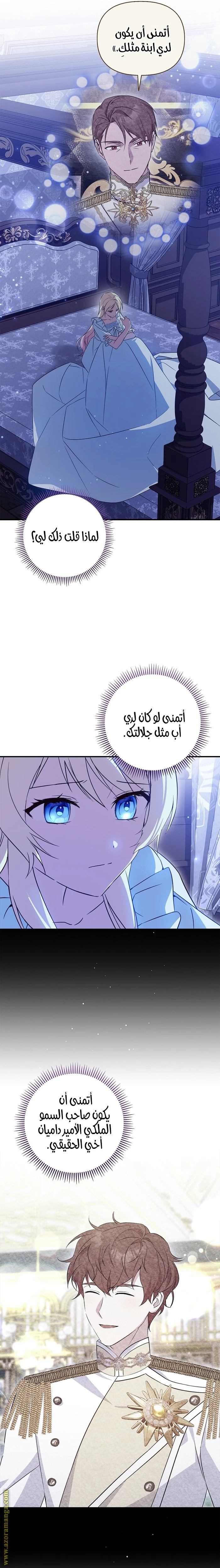 الصفحة 17