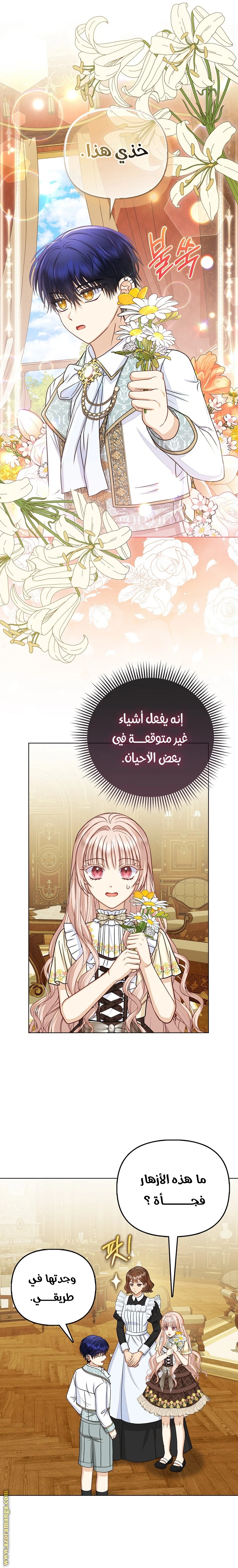 الصفحة 17