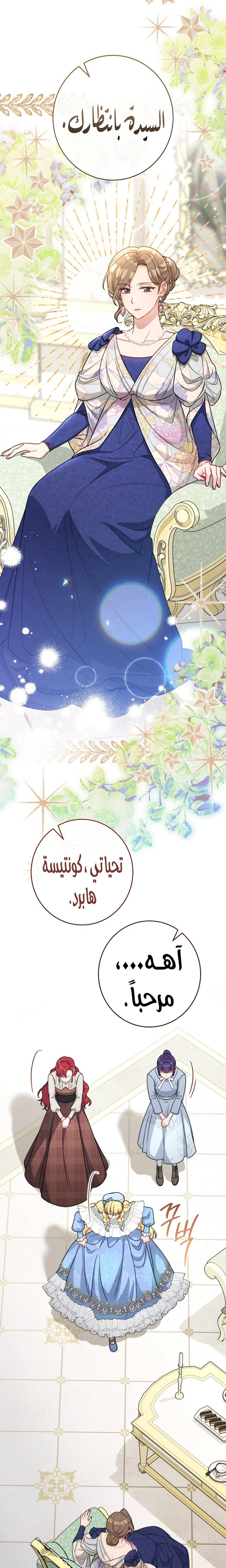 الصفحة 13