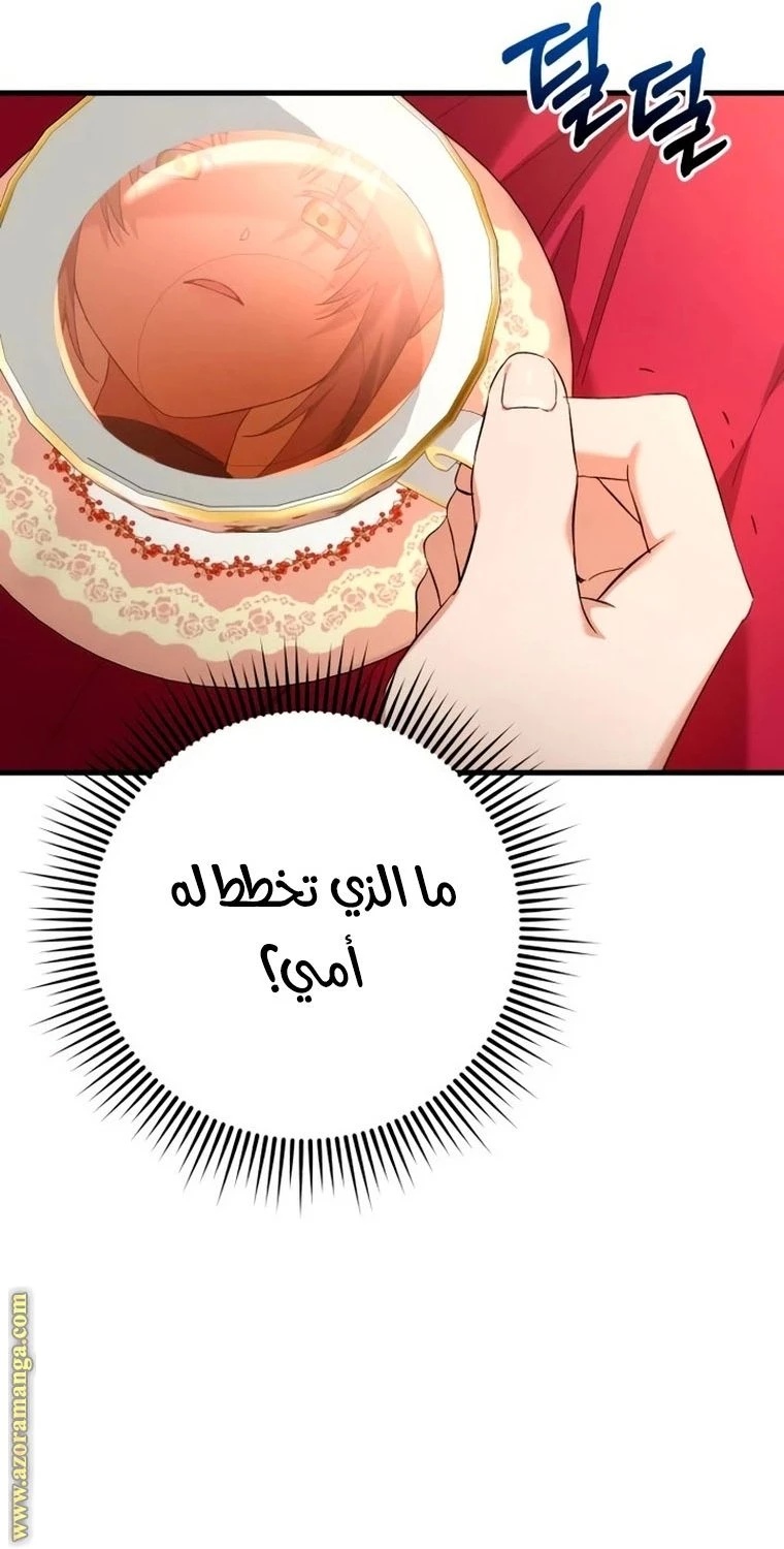 الصفحة 17