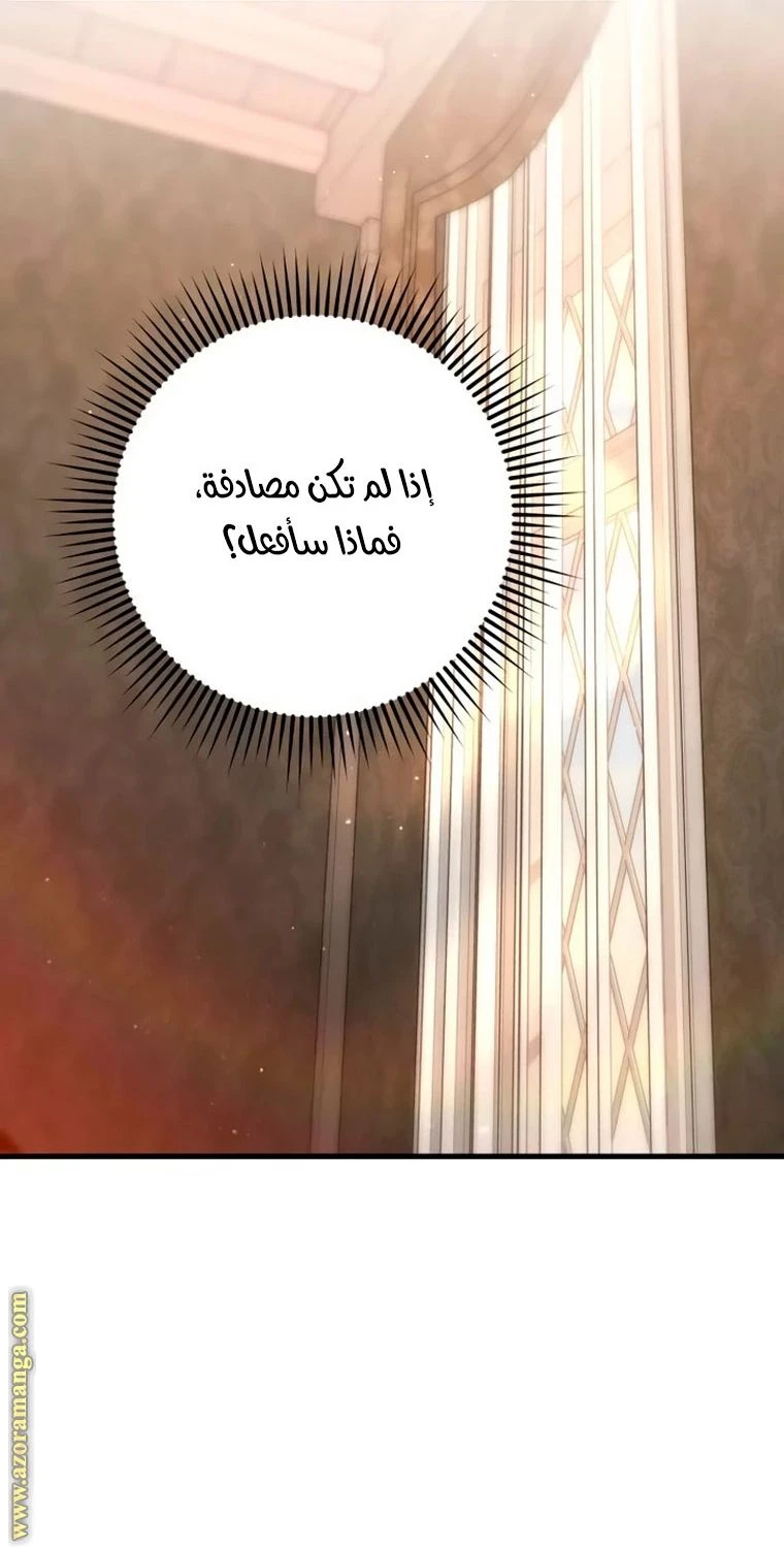 الصفحة 29