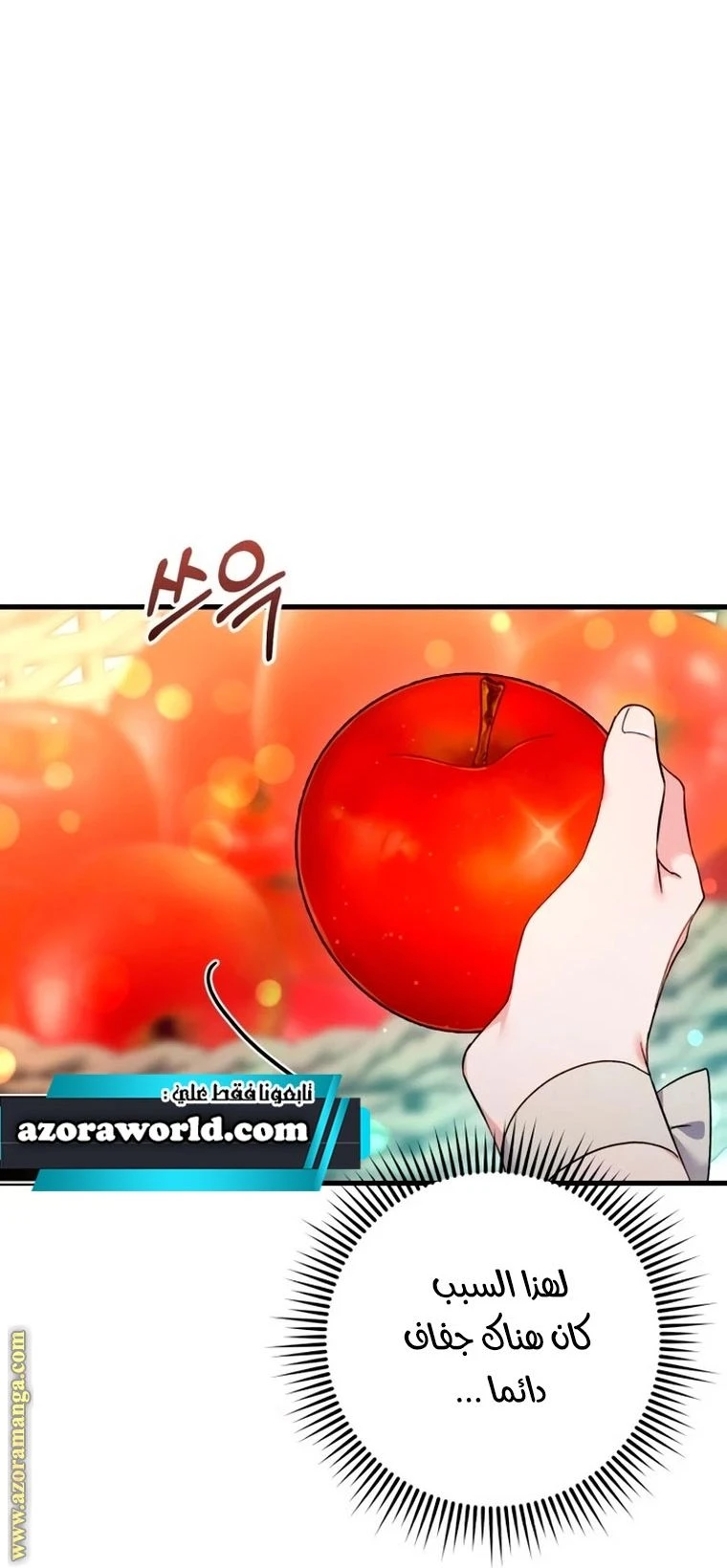 الصفحة 48