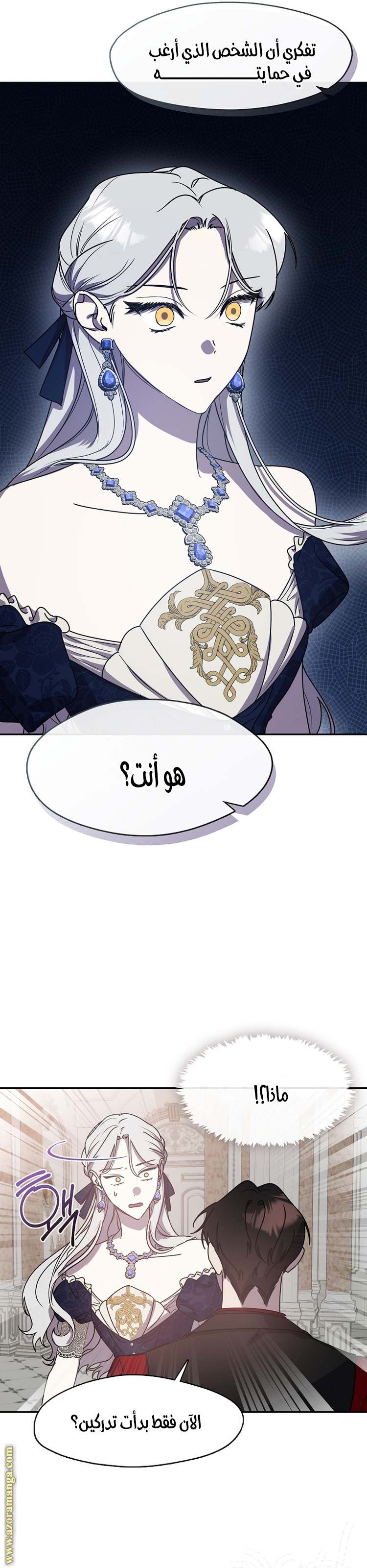 الصفحة 22