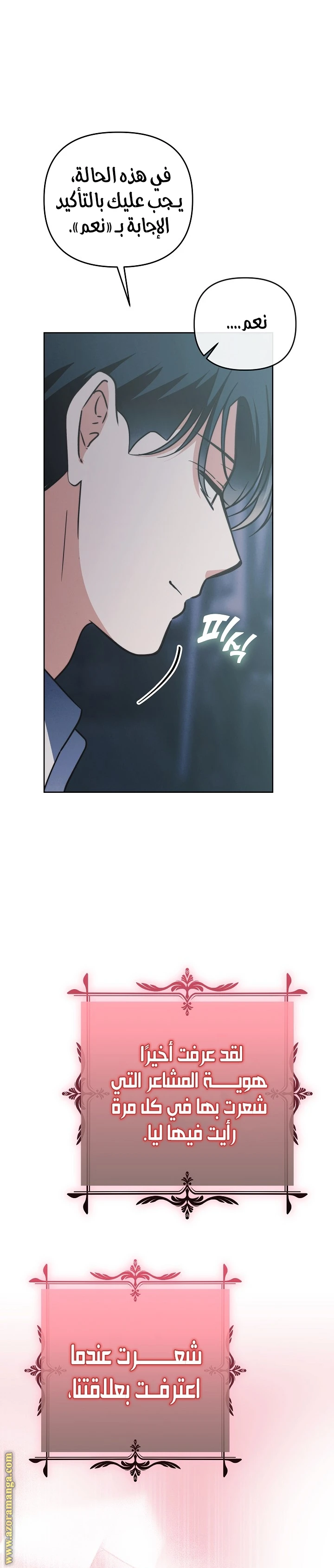 الصفحة 17