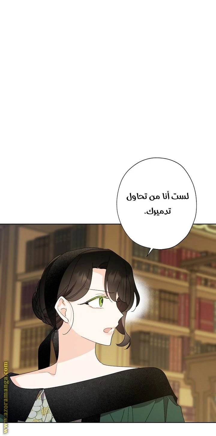 الصفحة 19