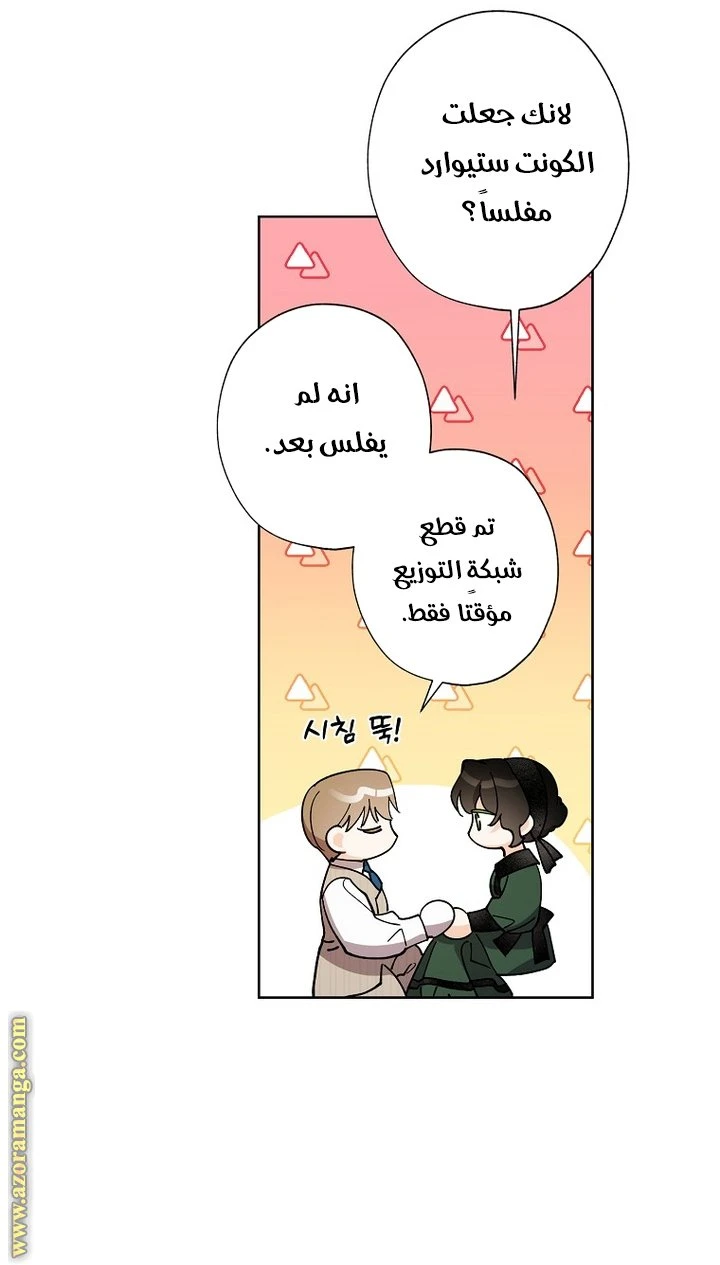 الصفحة 41