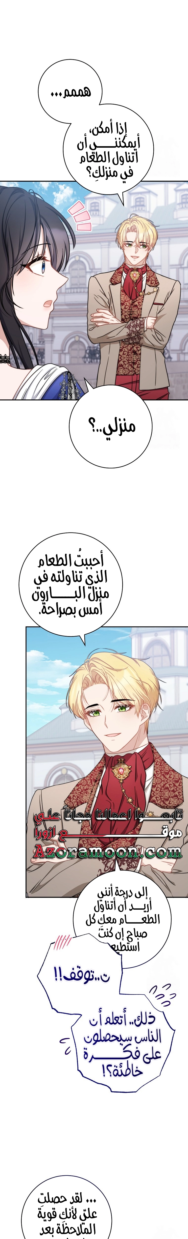 الصفحة 17