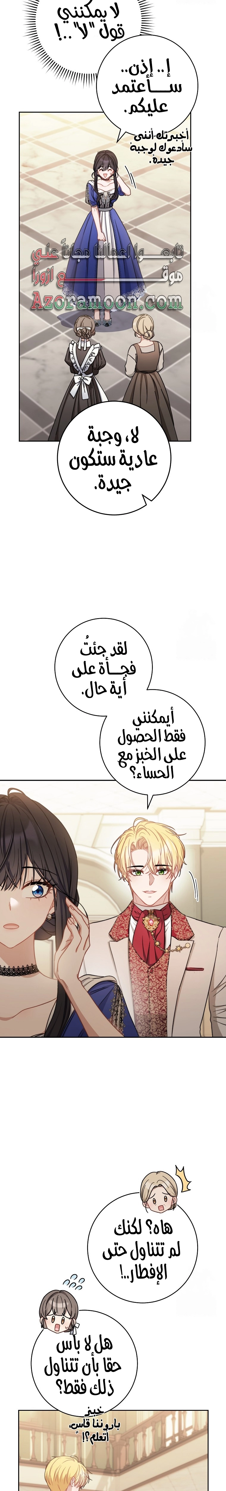 الصفحة 20