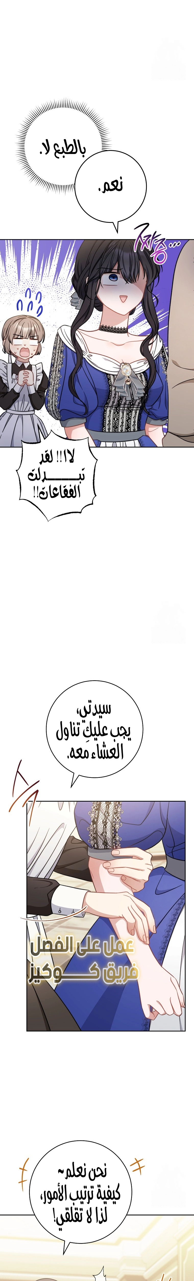 الصفحة 25