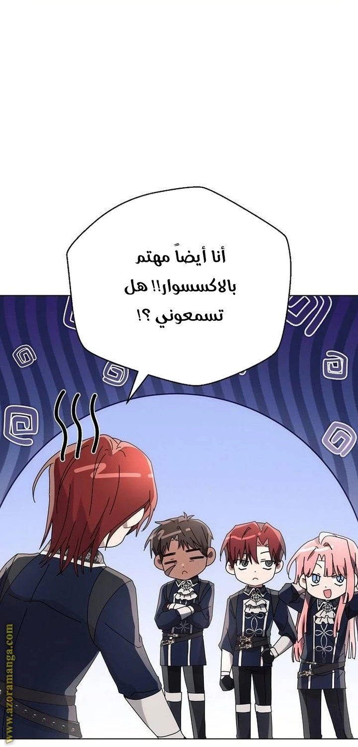 الصفحة 17
