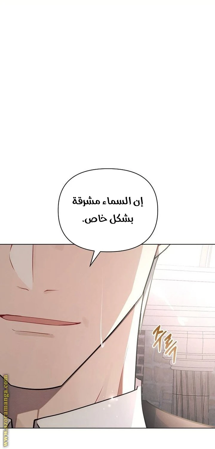 الصفحة 26