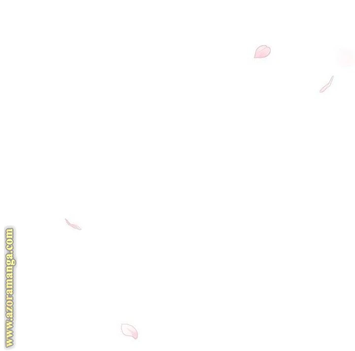 الصفحة 29