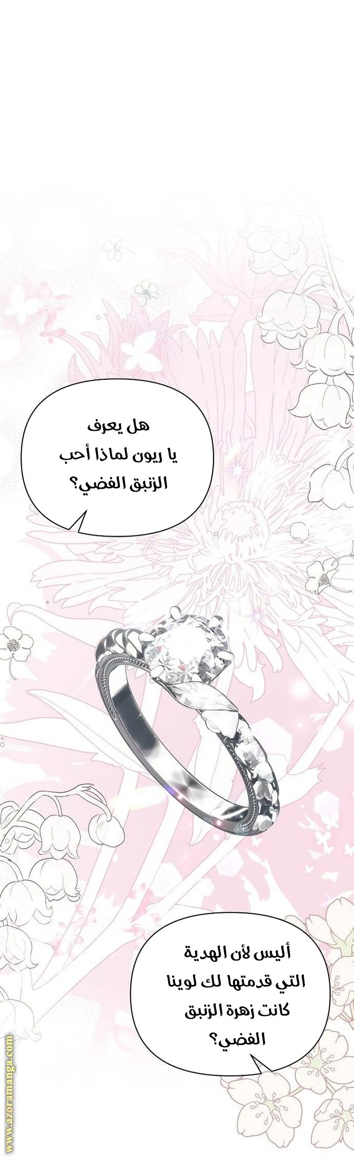 الصفحة 43