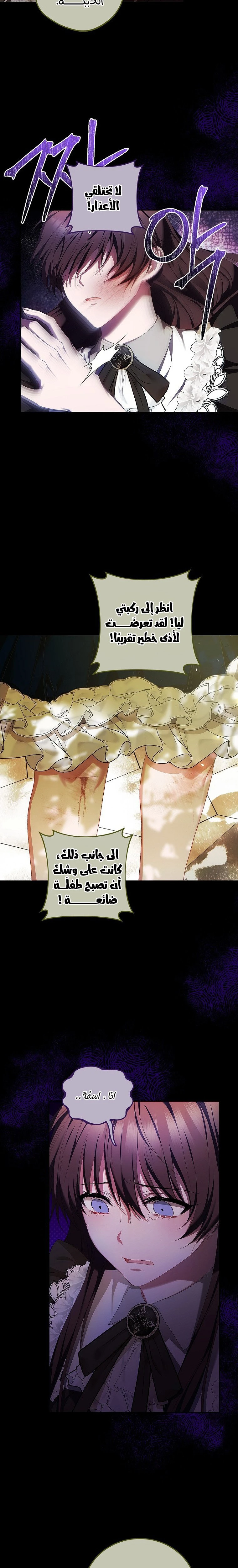 الصفحة 11