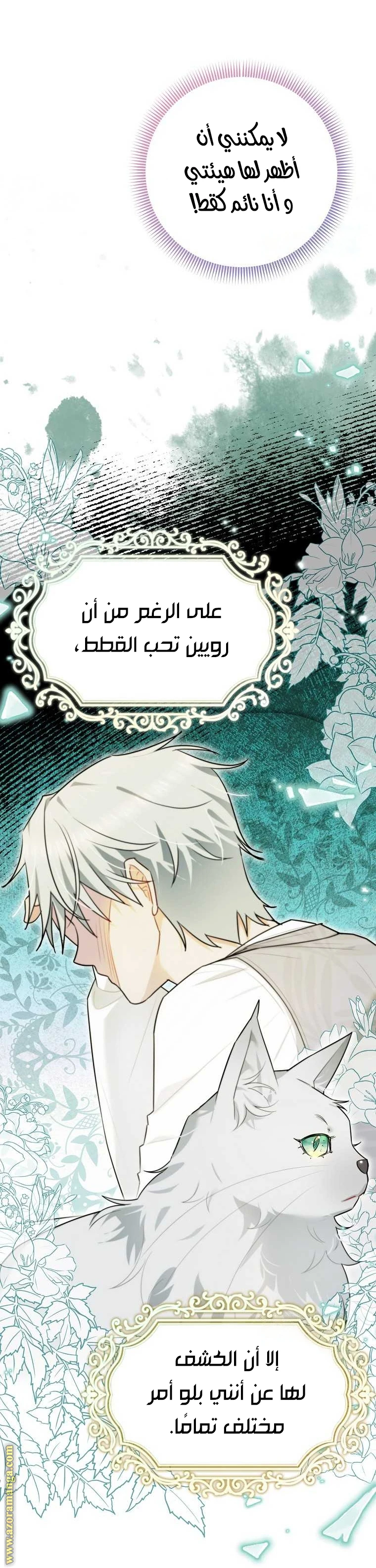 الصفحة 11