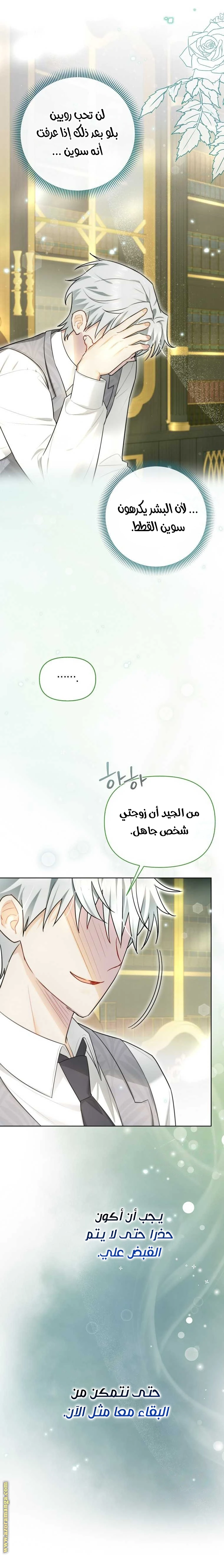 الصفحة 12