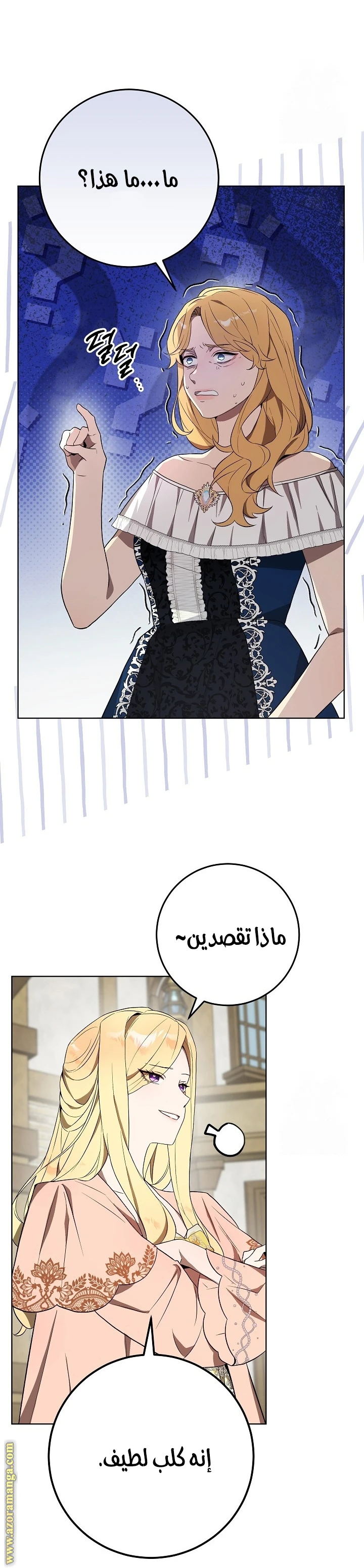 الصفحة 13