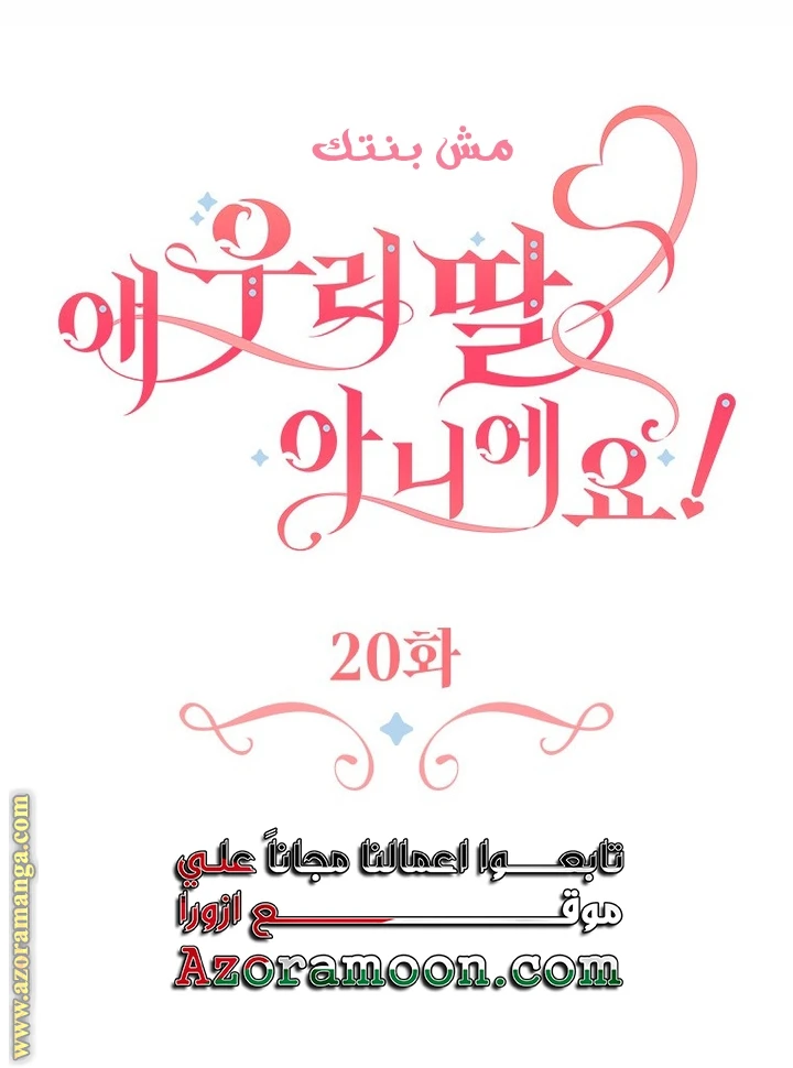 الصفحة 23
