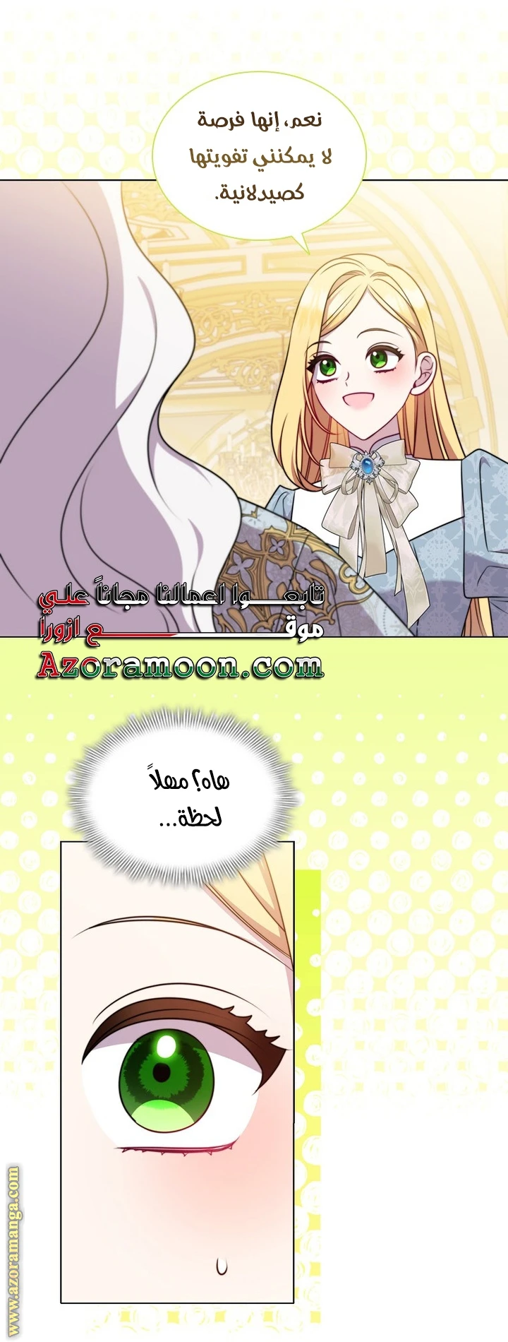 الصفحة 43