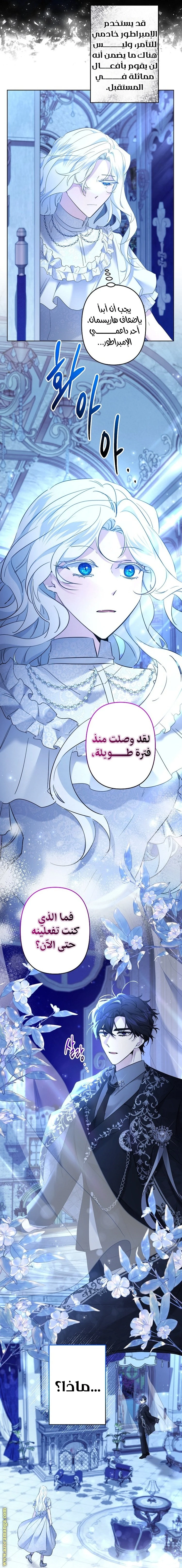 الصفحة 15