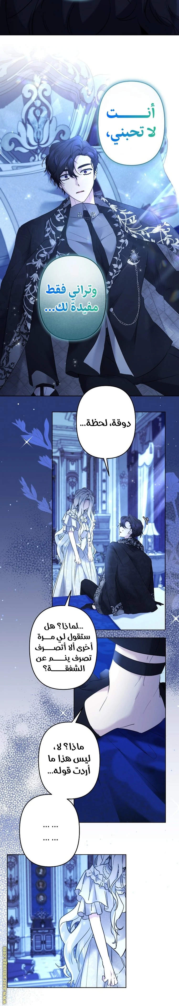 الصفحة 17