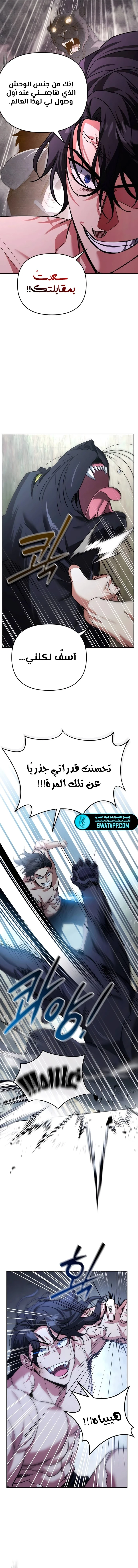 الصفحة 13
