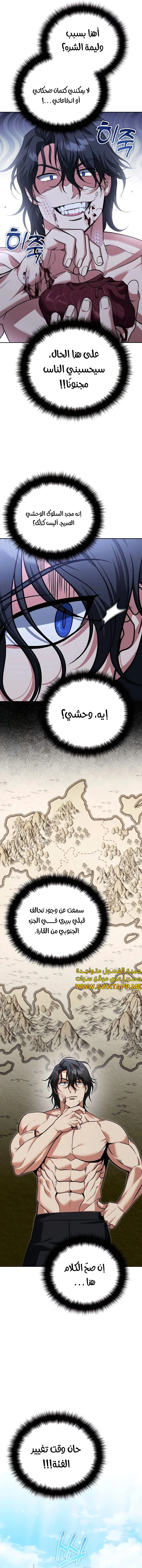 الصفحة 17
