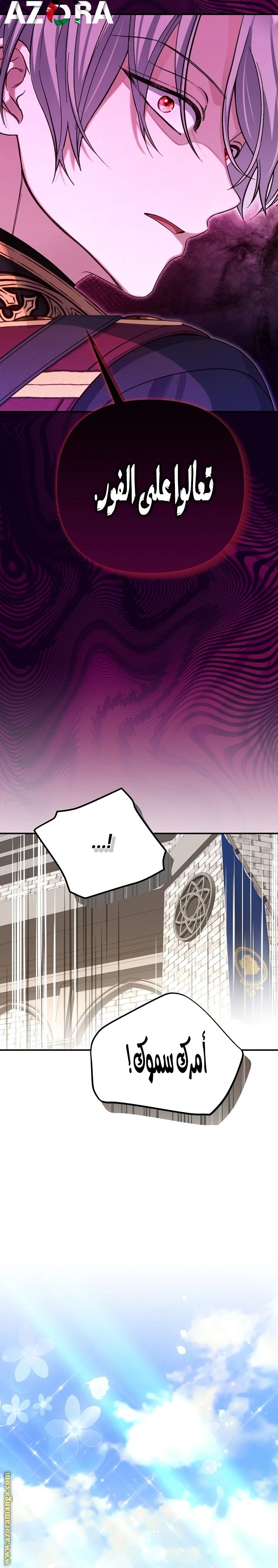 الصفحة 17