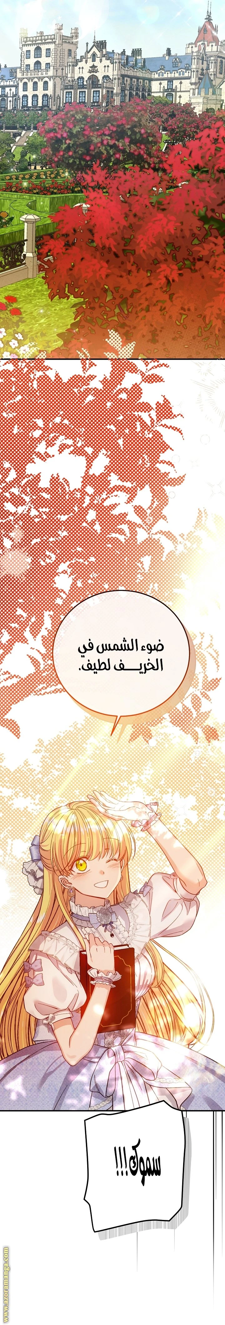 الصفحة 18