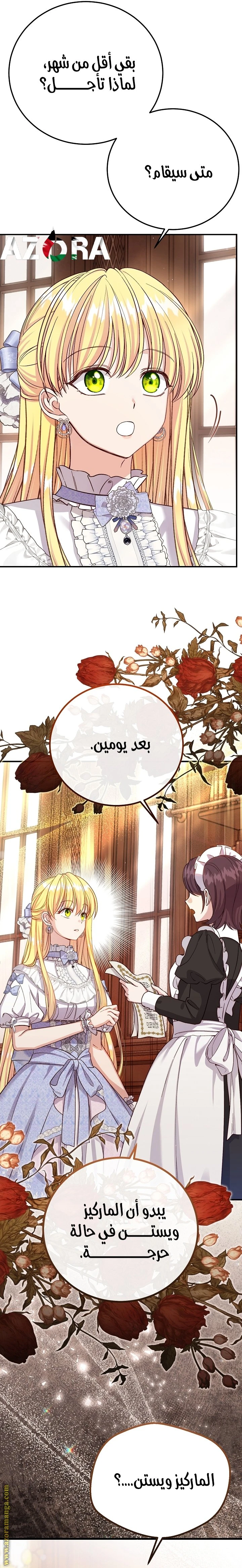 الصفحة 29
