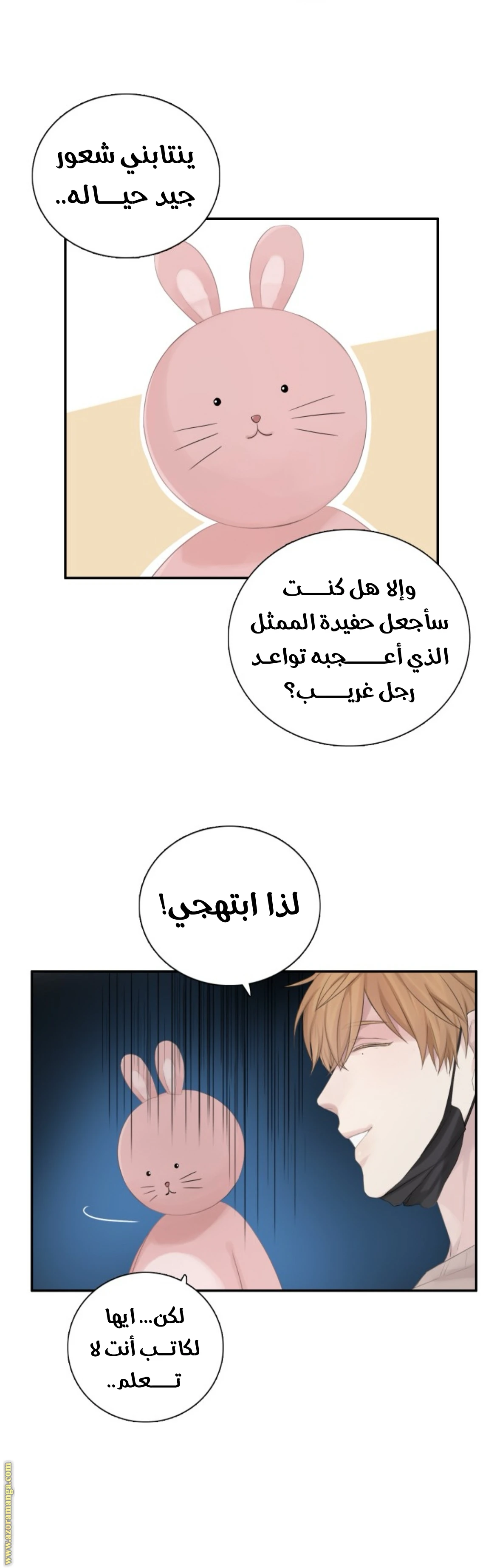 الصفحة 13