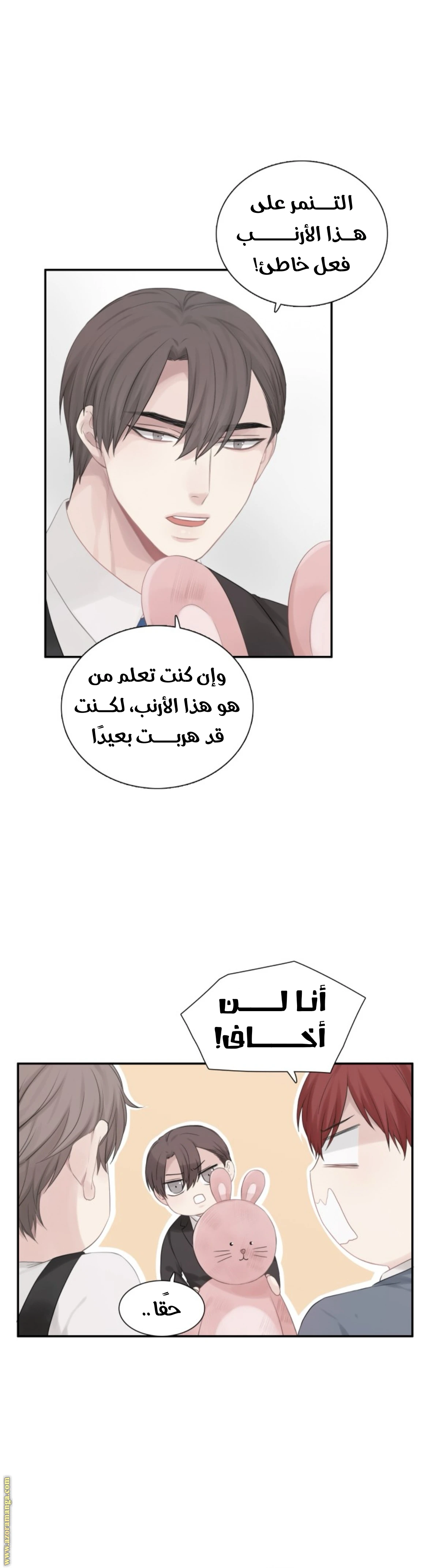 الصفحة 21