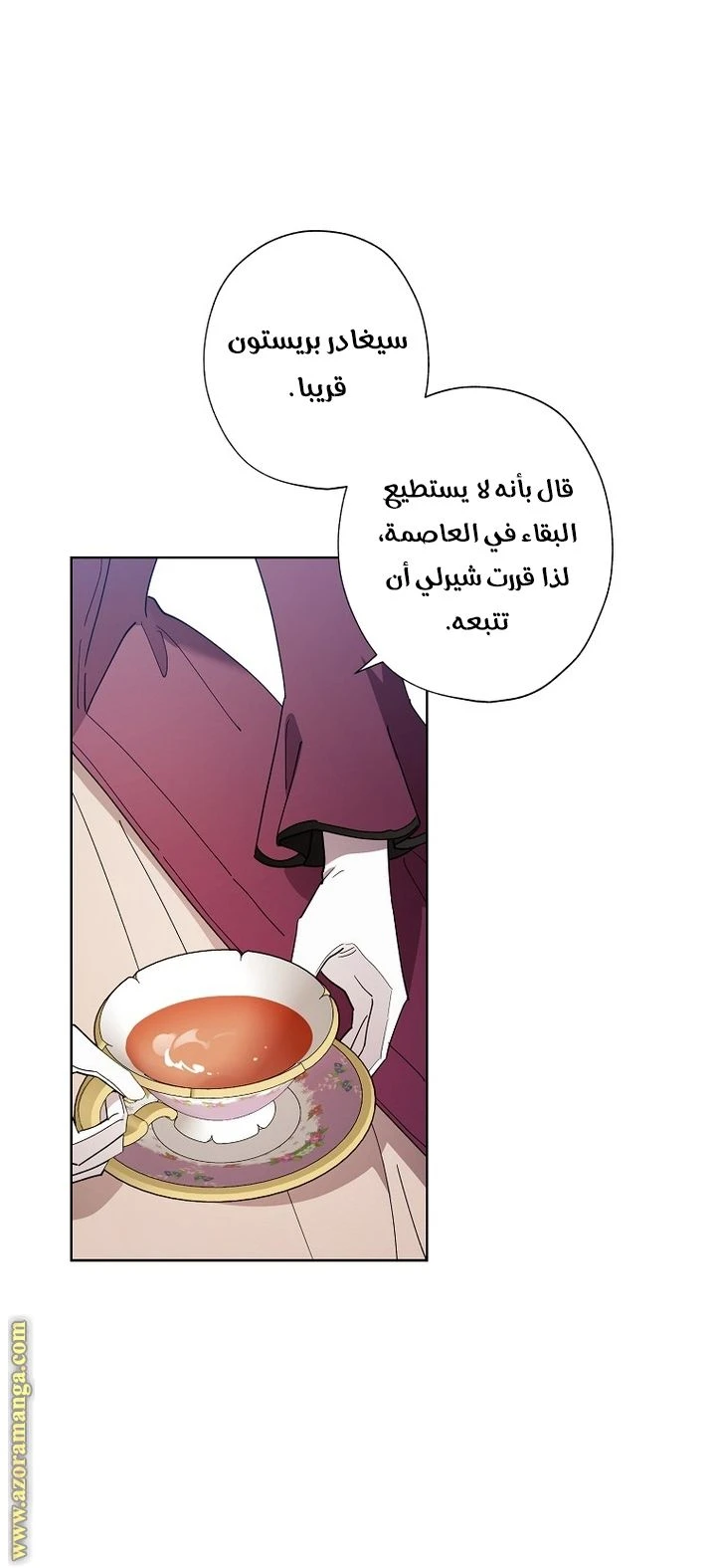 الصفحة 14
