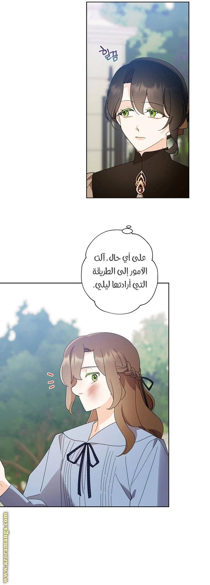 الصفحة 29