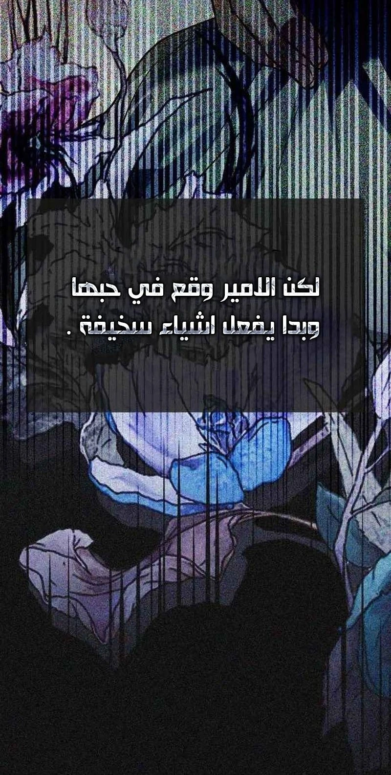 الصفحة 24