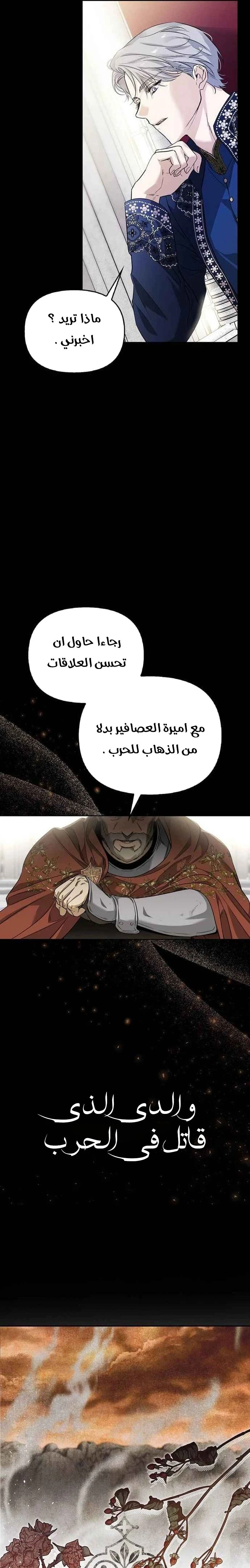 الصفحة 29