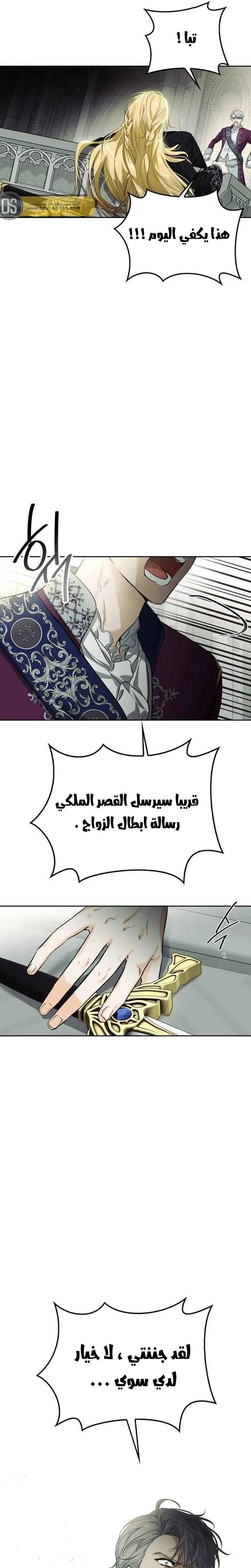 الصفحة 43